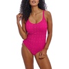 Fuschia
